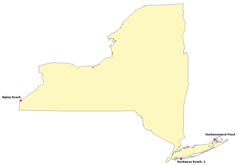 New York Surf Deaths, see list below