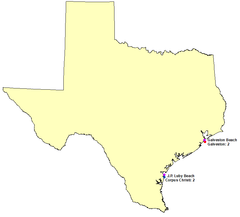 Texas Surf Deaths in 2020