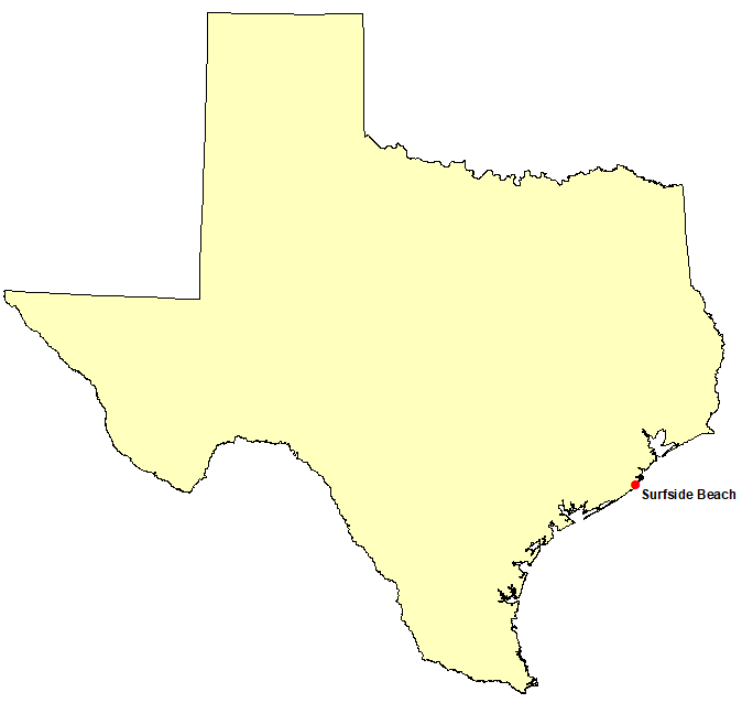 Texas Surf Deaths in 2020