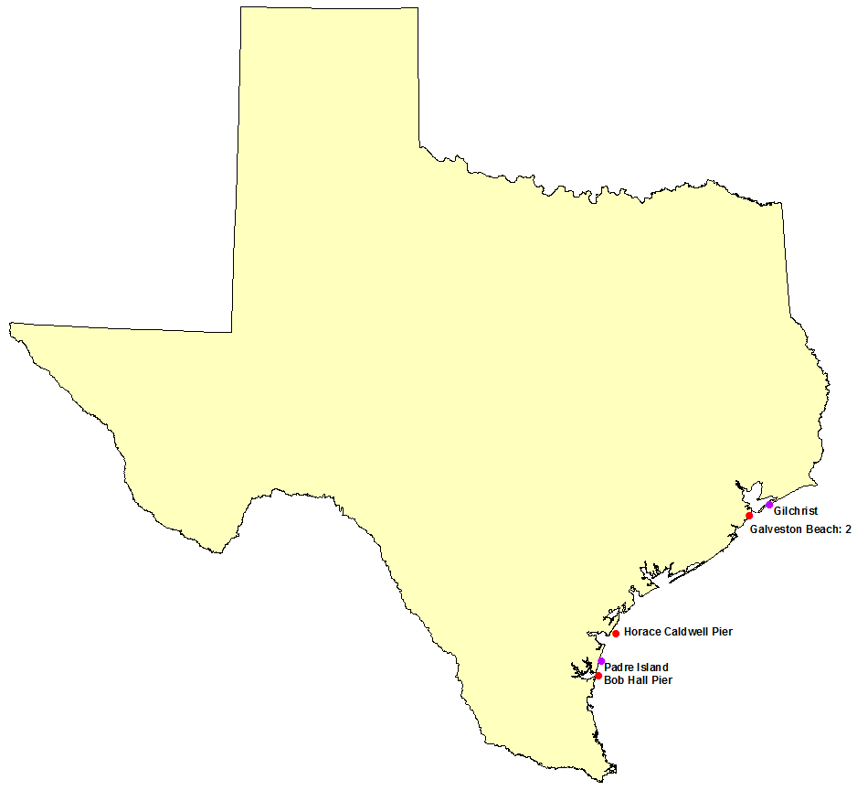 Rip Current Fatalities in Texas 2018