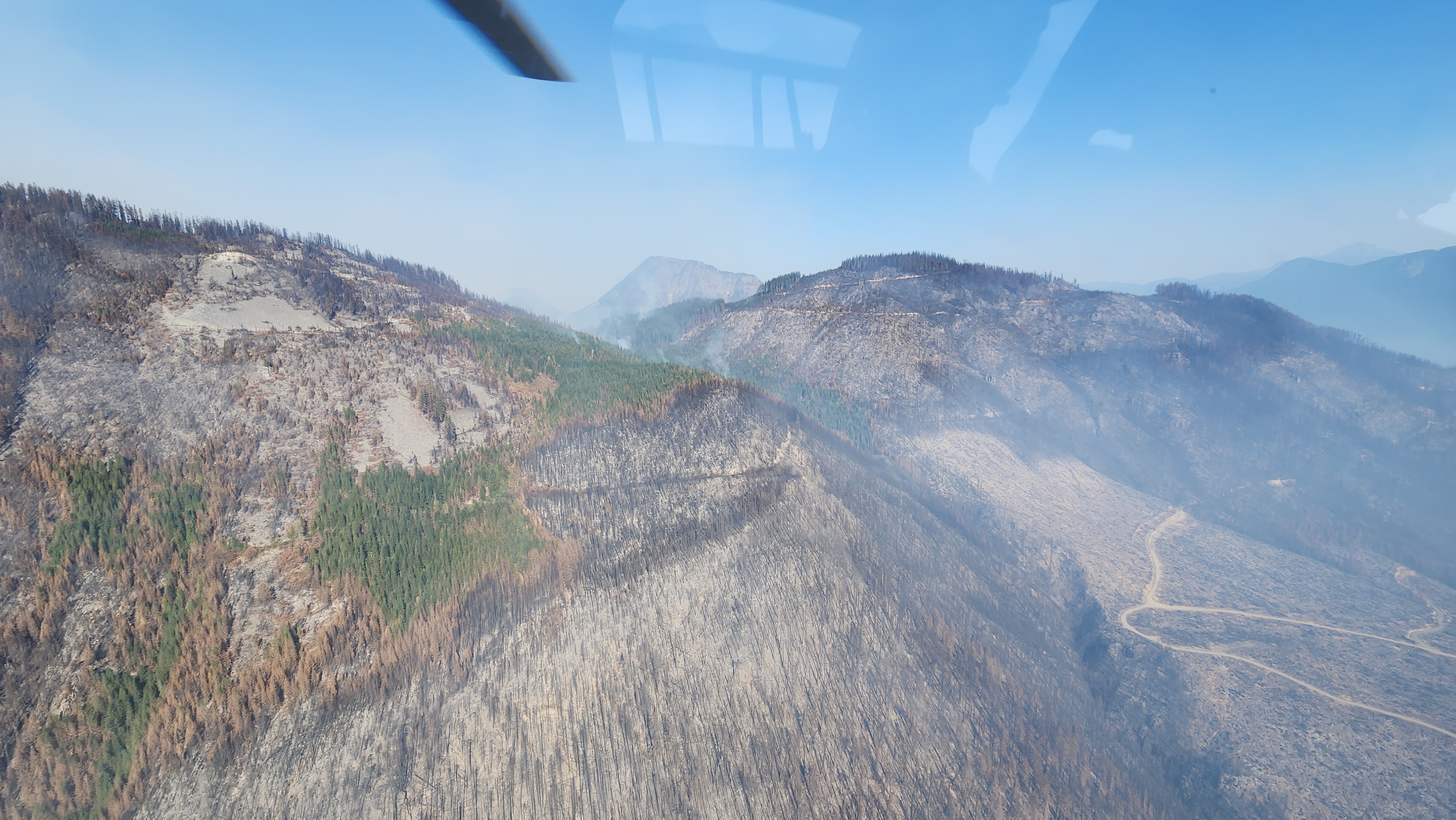 Bolt Creek Burn Scar