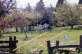 Photo of an automated weather site at Julian, California