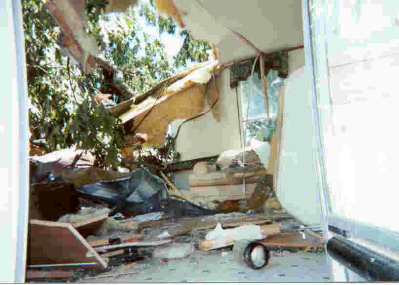 A tree fell on a mobile home in Mansfield, LA