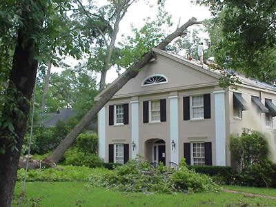 Tree fell on a home in Shreveport