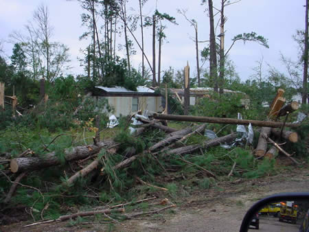 Numerous trees down along Hwy 490