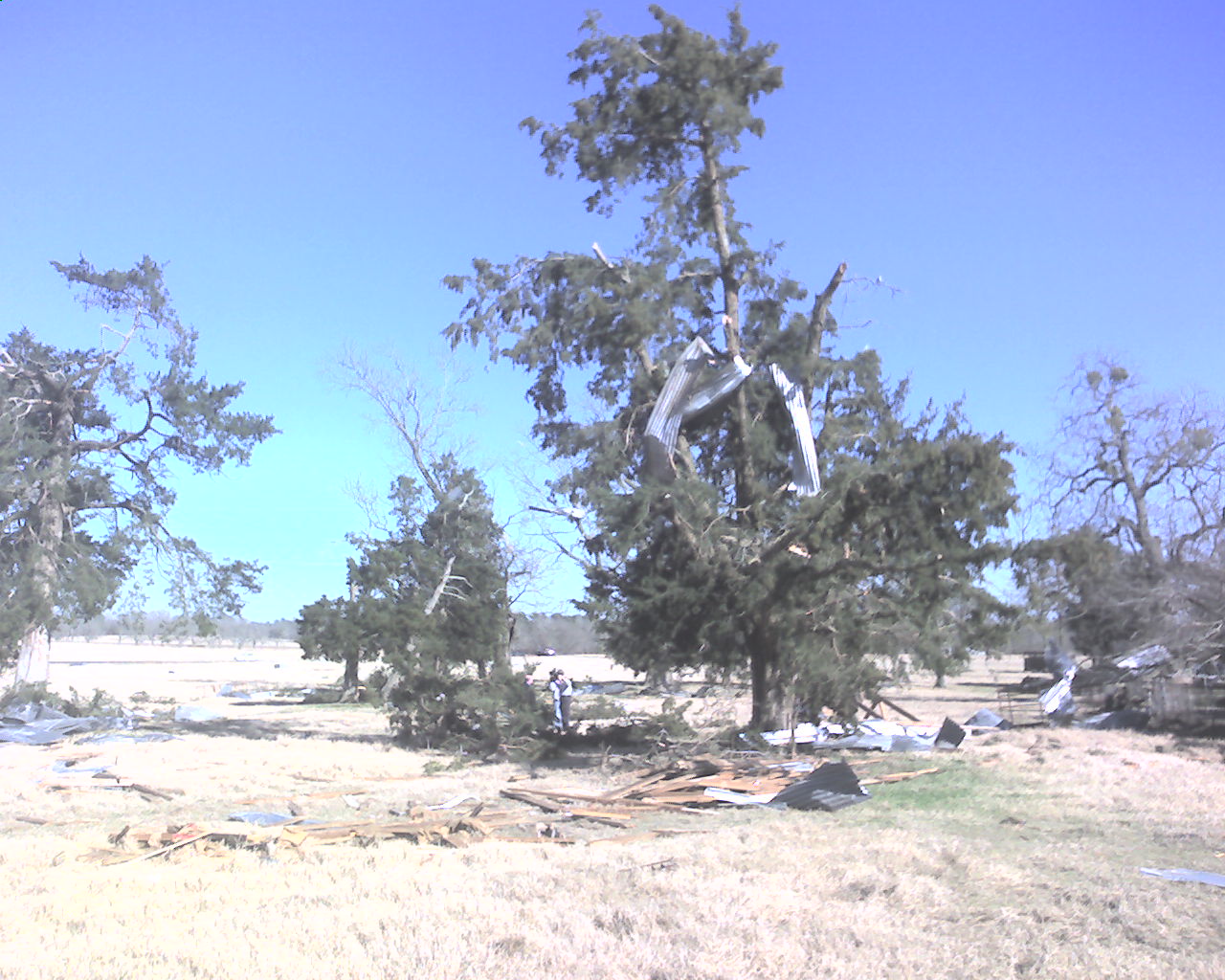 Debris blown into trees