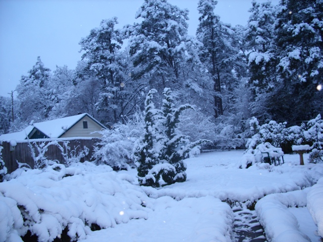6 inches of snow in Atlanta, TX