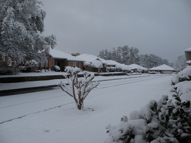 6 to 7 inches of snow in Longview, TX