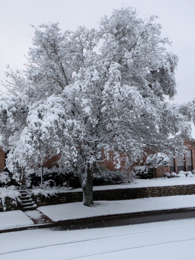 Snowfall in Longview, TX