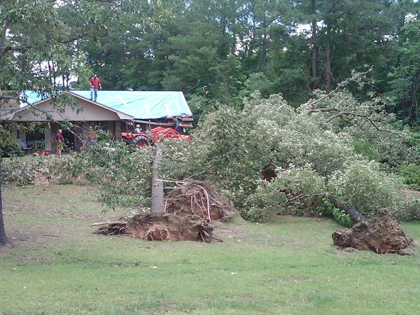 Damage to a home caused by falling trees northeast of Farmerville.