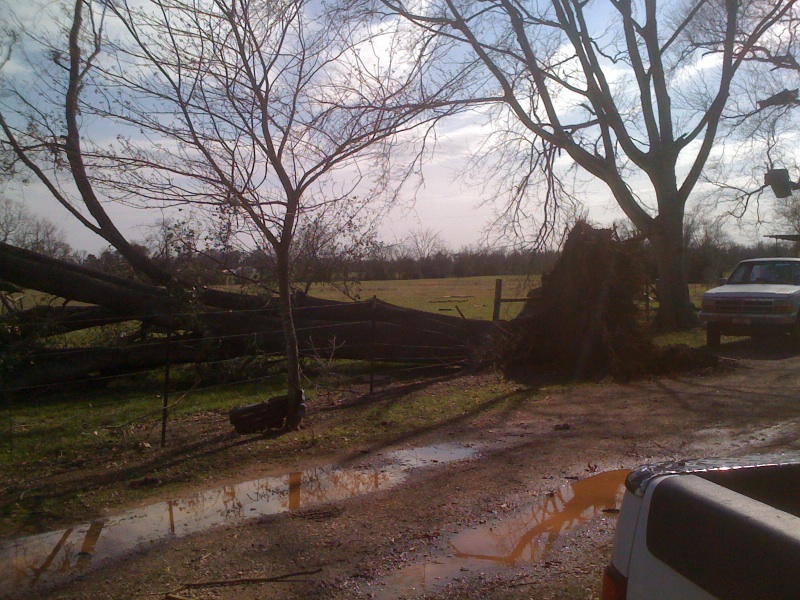 Straight-line wind damage northwest of Wells, TX