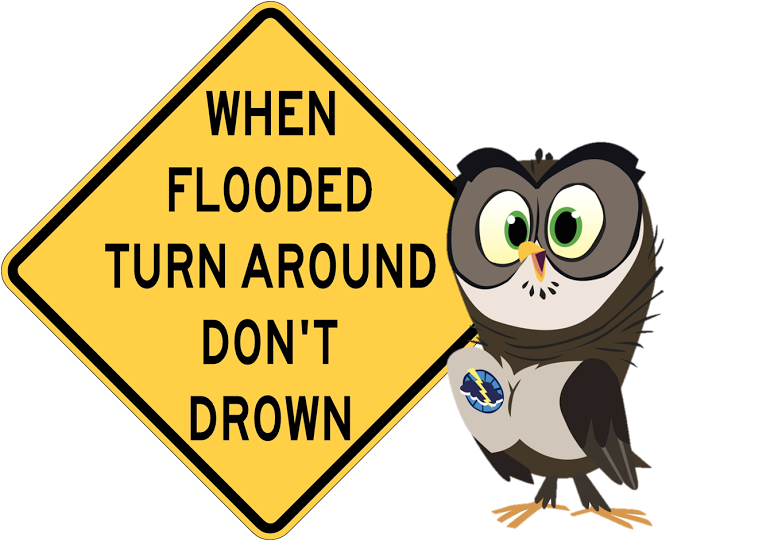 When Flooded Turn Around Don't Drown