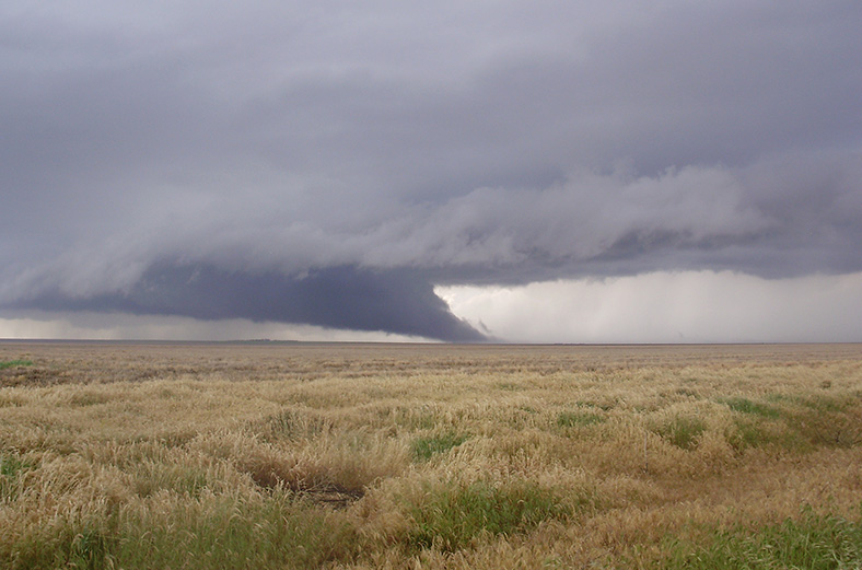 Weather Spotter's Field Guide - Fake Tornadoes