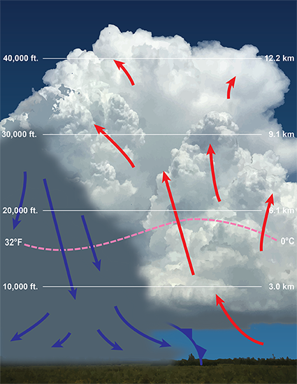 An illustration of mature Cumuluonimbus.