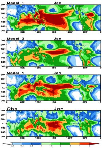 Standard deviation of January precipitation from one month lead forecasts by 3 state of the art S2S models (top 3 panels) and the observation (bottom panel).