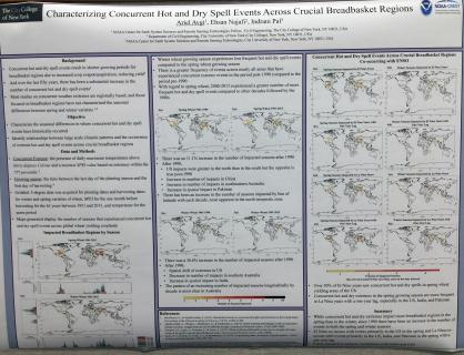 Characterizing Concurrent Hot and Dry Spell Events Across the Crucial Breadbasket Regions