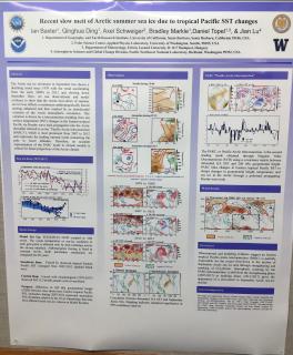 Recent Slow Melt of Arctic Summer Sea Ice Caused by Tropical SST changes