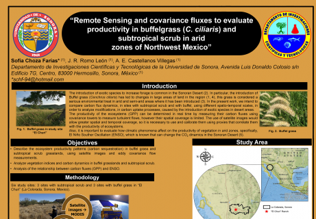 Remote sensing and covariance fluxes to evaluate productivity in buffelgrass (C. ciliaris) and subtropical scrub in arid zones of Northwest Mexico by SofÃ­a Choza FarÃ­as, JosÃ© RaÃºl Romo LeÃ³n, Alejandro Castellanos Villegas, Universidad de Sonora, MÃ©xico