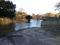 The flooded Ochlockonee River at the boat ramp near the Old Bainbridge Road bridge on December 26, 2014.