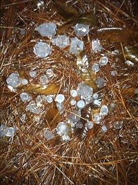 Large hailstones on 10th Ave. in Albany, GA during the pre-dawn hours of December 23, 2014. Photo courtesy of WALB-TV.