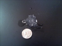 A roughly quarter-size hailstone observed in Albany, GA during the pre-dawn hours of December 23, 2014. Photo courtesy of WALB-TV.
