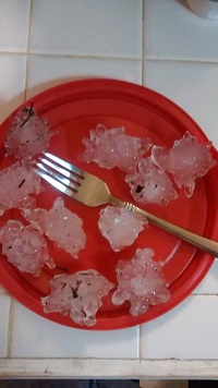 Golfball-size hailstones observed on Eager Drive in Albany, GA during the pre-dawn hours of December 23, 2014. Photo submitted by Mary Newman to WALB-TV.