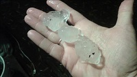 Large hailstones in Albany, GA during the pre-dawn hours of December 23, 2014. Photo submitted by Lisa Lofton to WALB-TV.