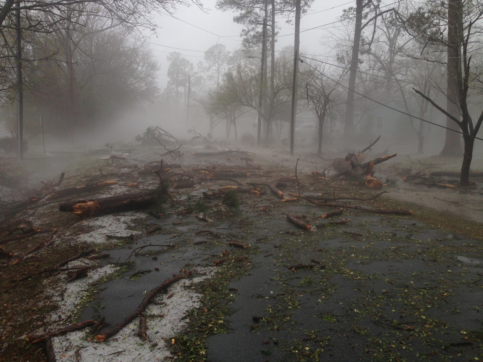 Trees damaged by severe wind gusts in Nashville, GA on March 23, 2013. Fog has developed as melting hail stones cool the nearby air to saturation.