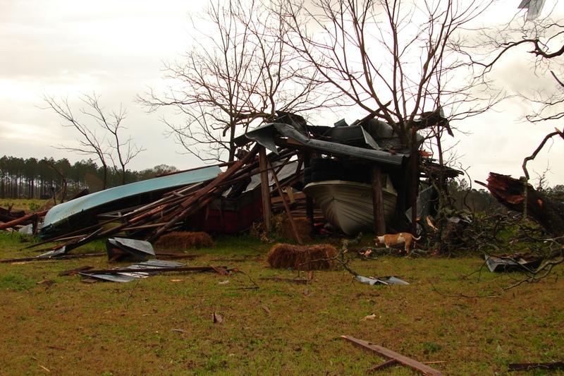 Photo of wind damage in the vicinity of Ty Ty, GA.