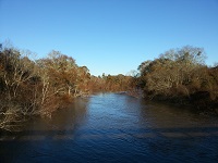 The flooded Ochlockonee River looking upstream from the Old Bainbridge Road bridge on December 26, 2014.