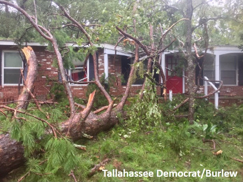 Irma Damage