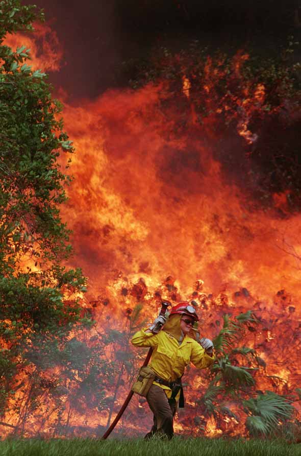 A photo of a female firefighter hauling hose on a Florida wildfire.