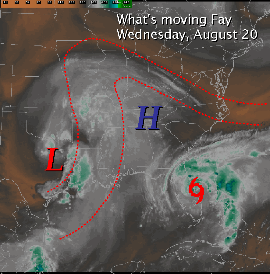This image depicts the upper level steering currents that forced Tropical Storm Fay to stall along the east coast of Florida .