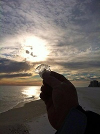 A cool pic of ice carefully lifted off of a shell on a Florida Panhandle beach. 