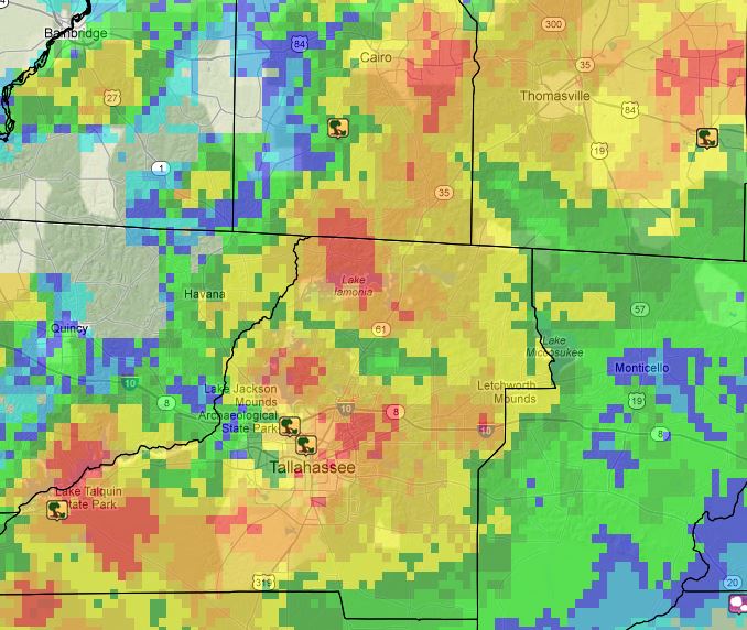 Mosaic reflectivity image showing the severe thunderstorm over Leon County, FL at 745 AM EDT (1145 UTC) March 24, 2013. Locations of reported severe weather associated with this storm are shown by the icons.