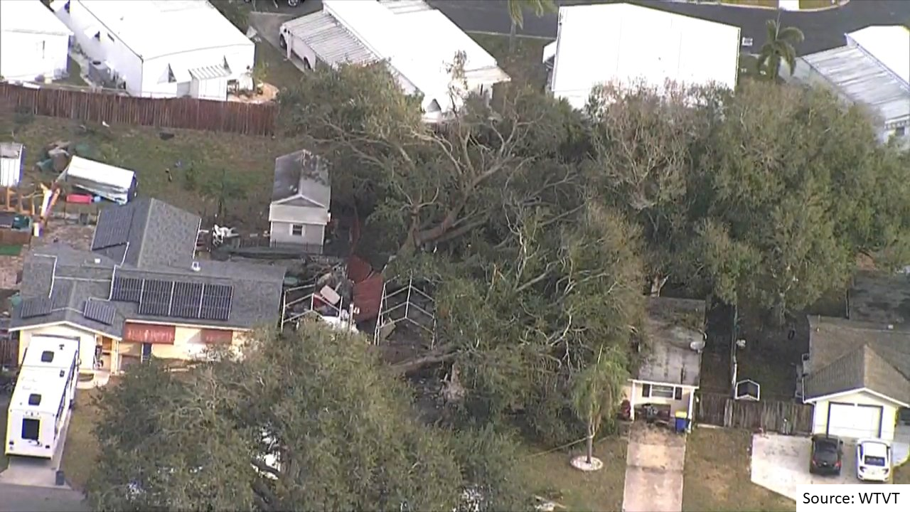 Aerial View of Trees on homes in Seminole