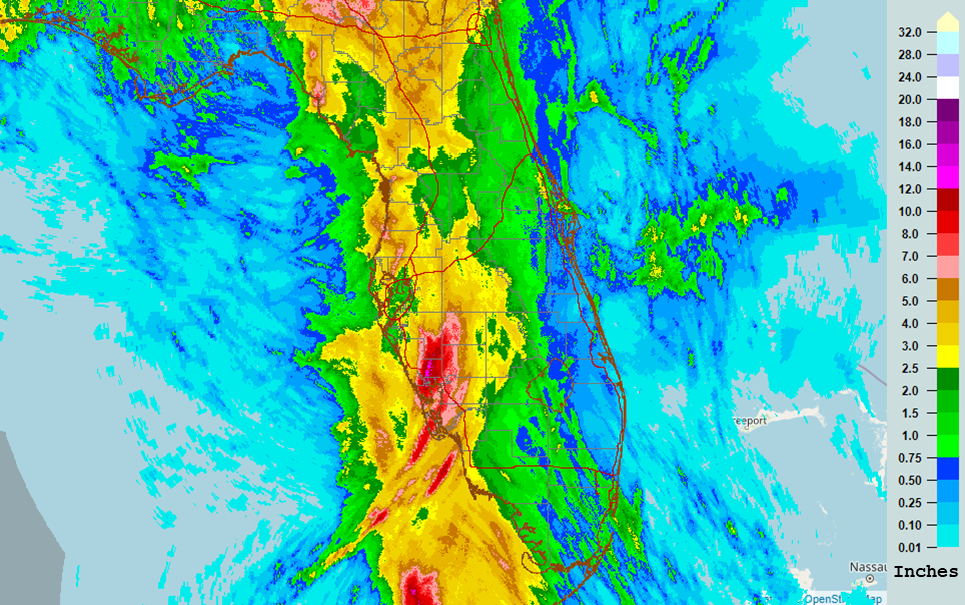 Rainfall from Hurricane Elsa across the Florida peninsula