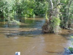 Bullfrog Creek 1