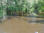 Bullfrog Creek 2