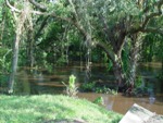 Bullfrog Creek 3