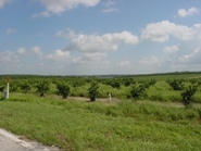 Ft Meade 4