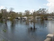 Arbuckle Creek 2