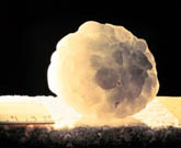 Hail Image