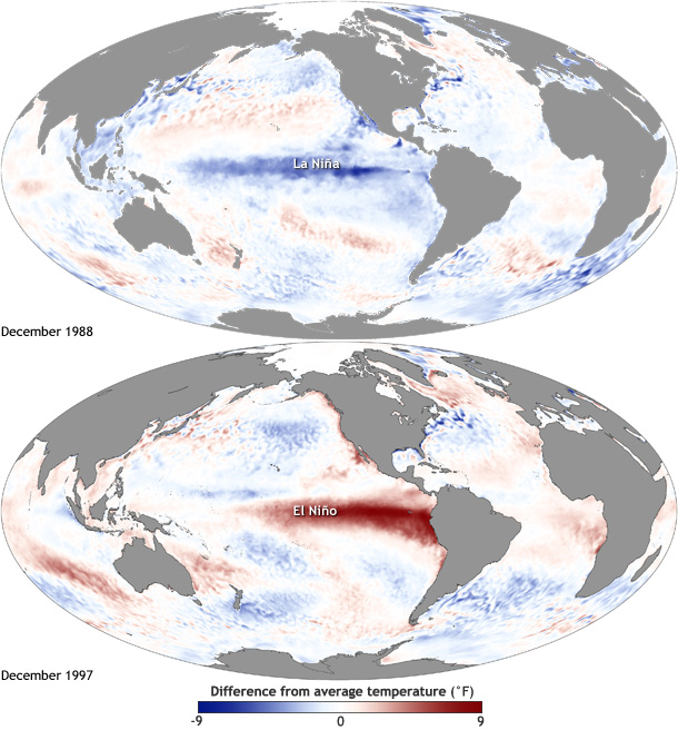 ENSO Sea Surface Temperature Anomalies