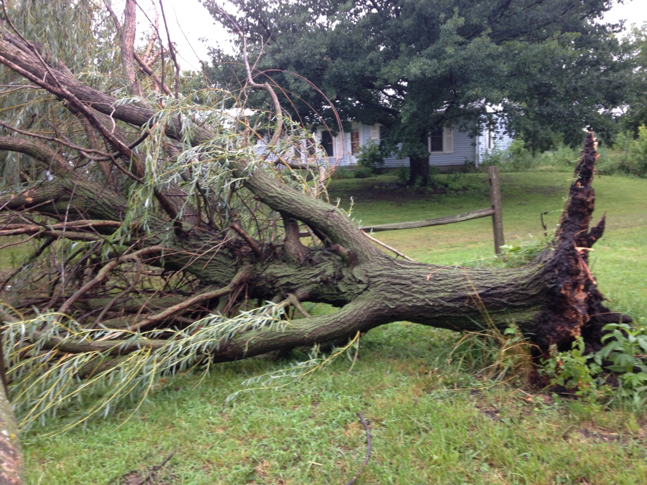 Wind damage from storms occuring on June 26, 2015