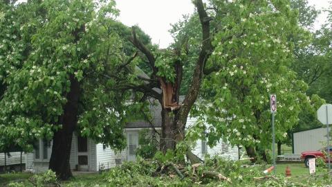 Valley Falls Tree Damage