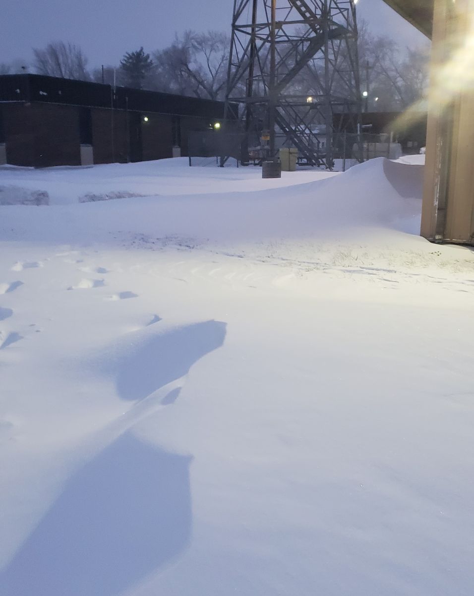 Cars buried in snow in Lawrence the afternoon of January 6.