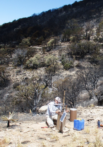 photo of gauge installation