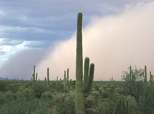 Picture of a big dust storm otherwise known as a Haboob.