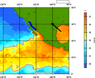 Figure 8: Warm sea surface temperatures in the Gulf of Mexico which can promote mid and upper level moisture transport into the Southwest.